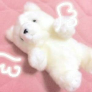 Meet your Posher, Kyndra